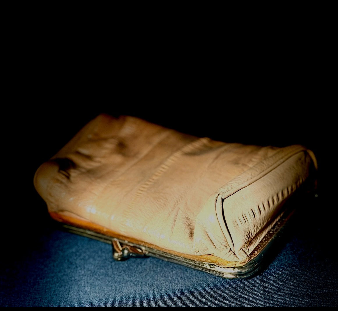 Vintage Eel Skin Clutch with Original Mirror - Immaculate Condition