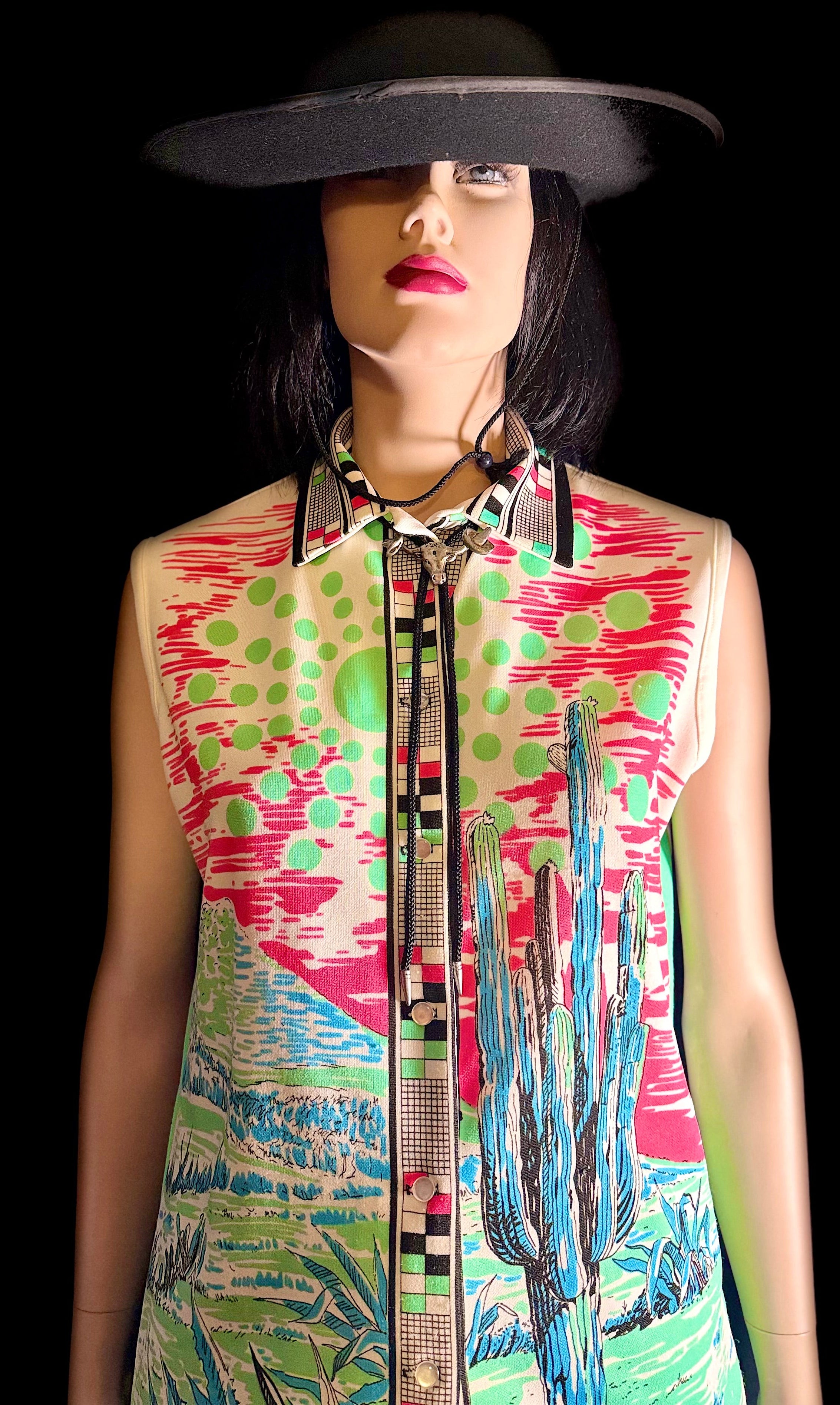 Vintage Hamilton Dallas Southwestern Novelty Print Longline Shirt | Texas