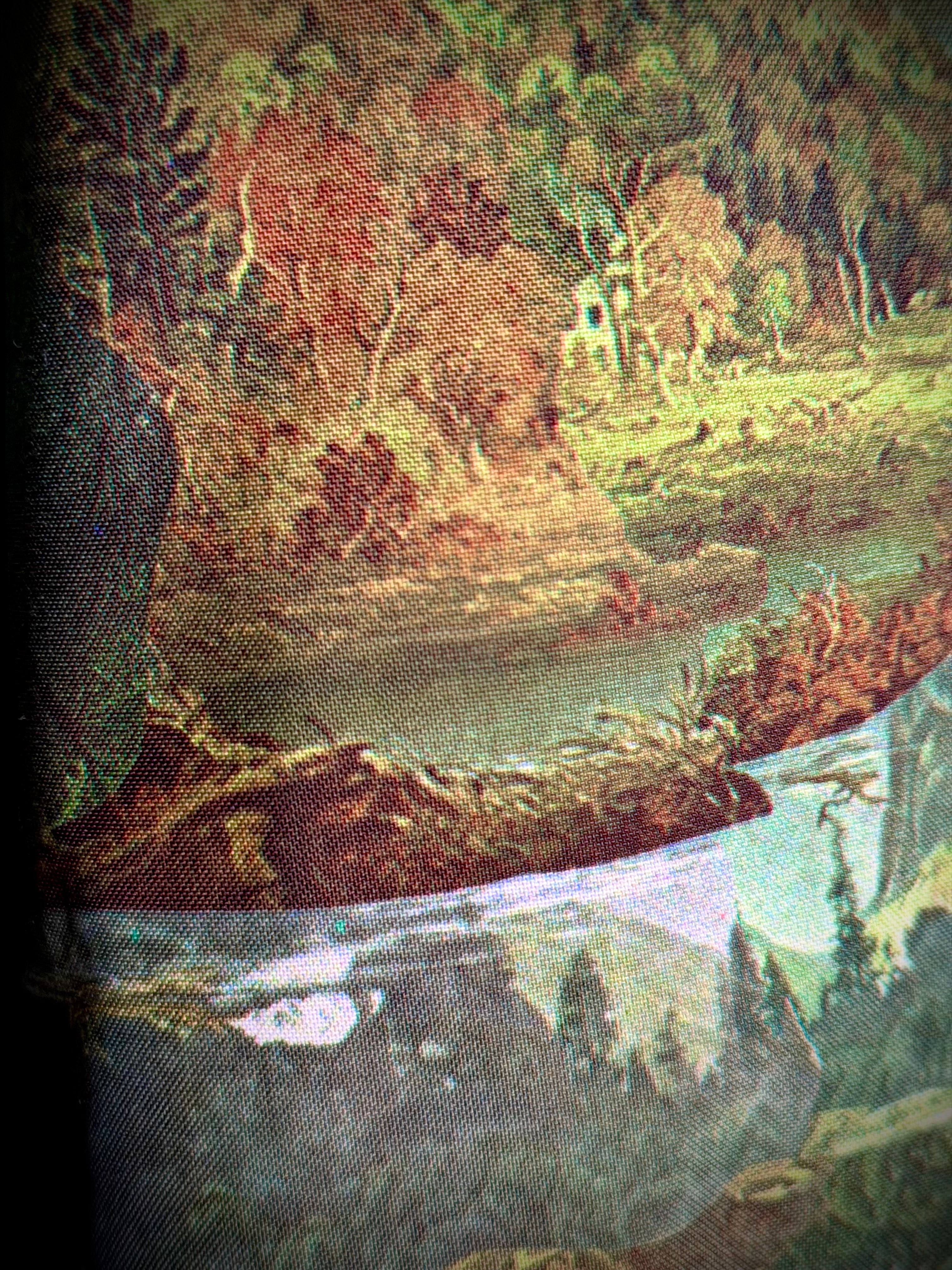 Late 1960s–Early 1970s Forest Scenic Print Shirt | Painterly Landscape Blouse