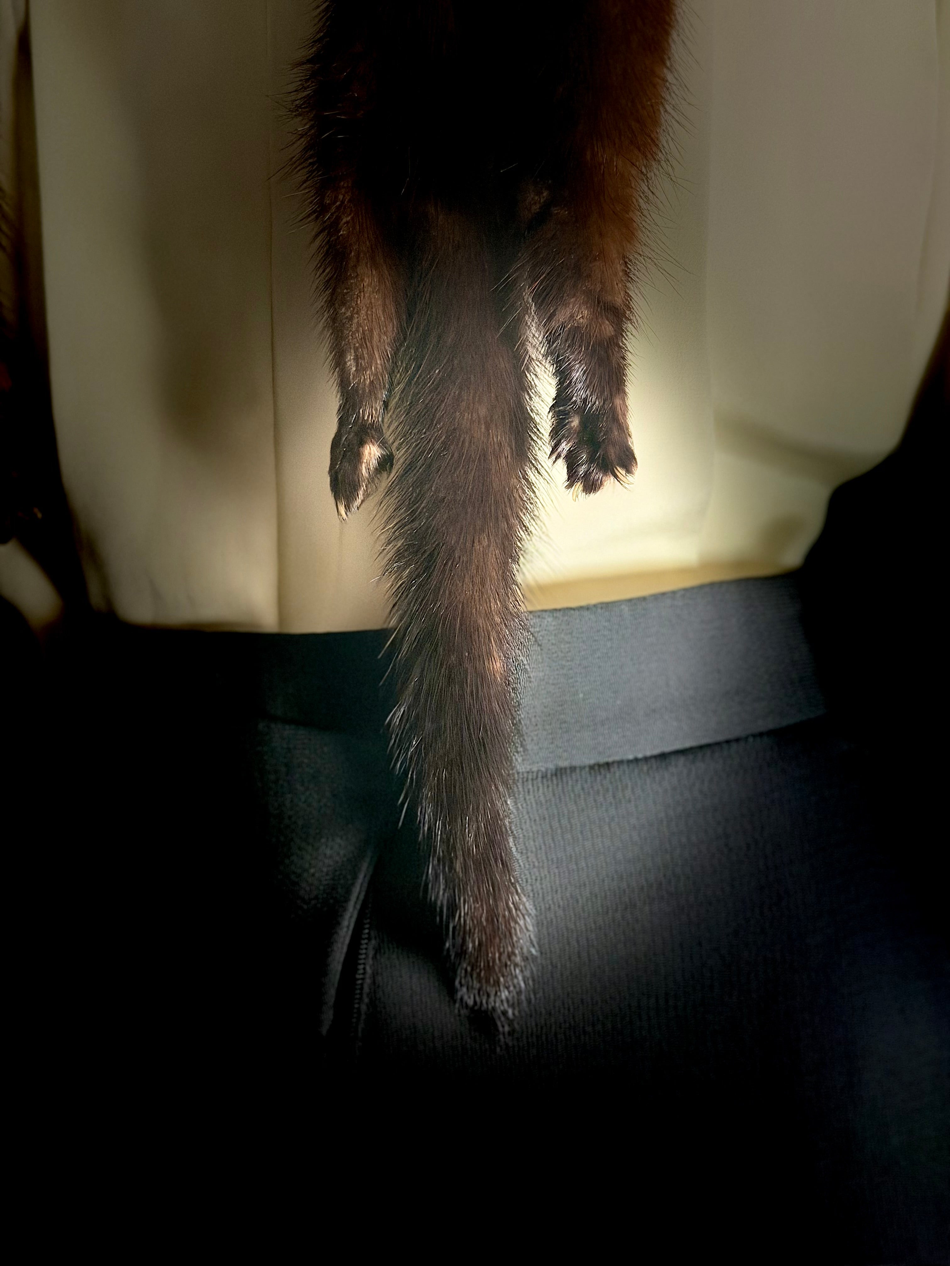 1940s Mink Fur Stole - Chocolate Brown | Old Hollywood Elegance