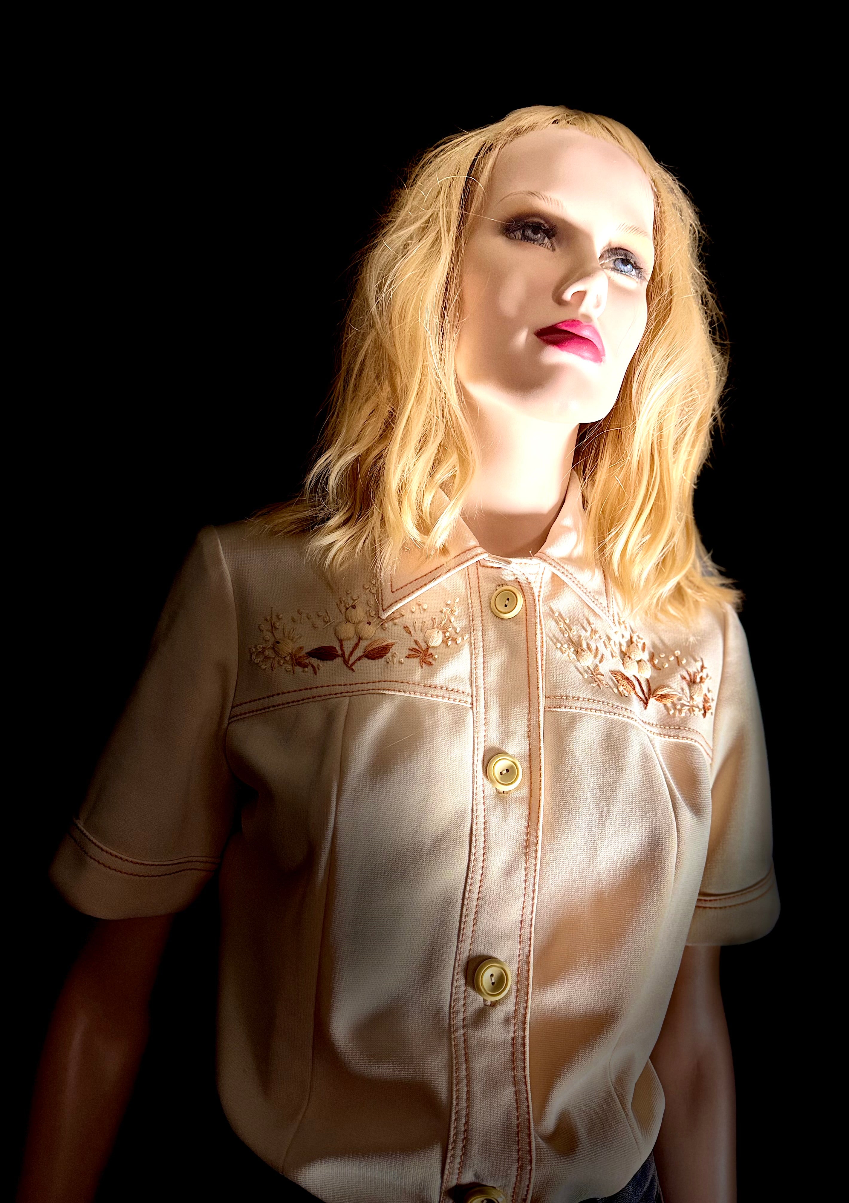 Vintage 1960s–70s Embroidered Western Shirt | Hong Kong Made