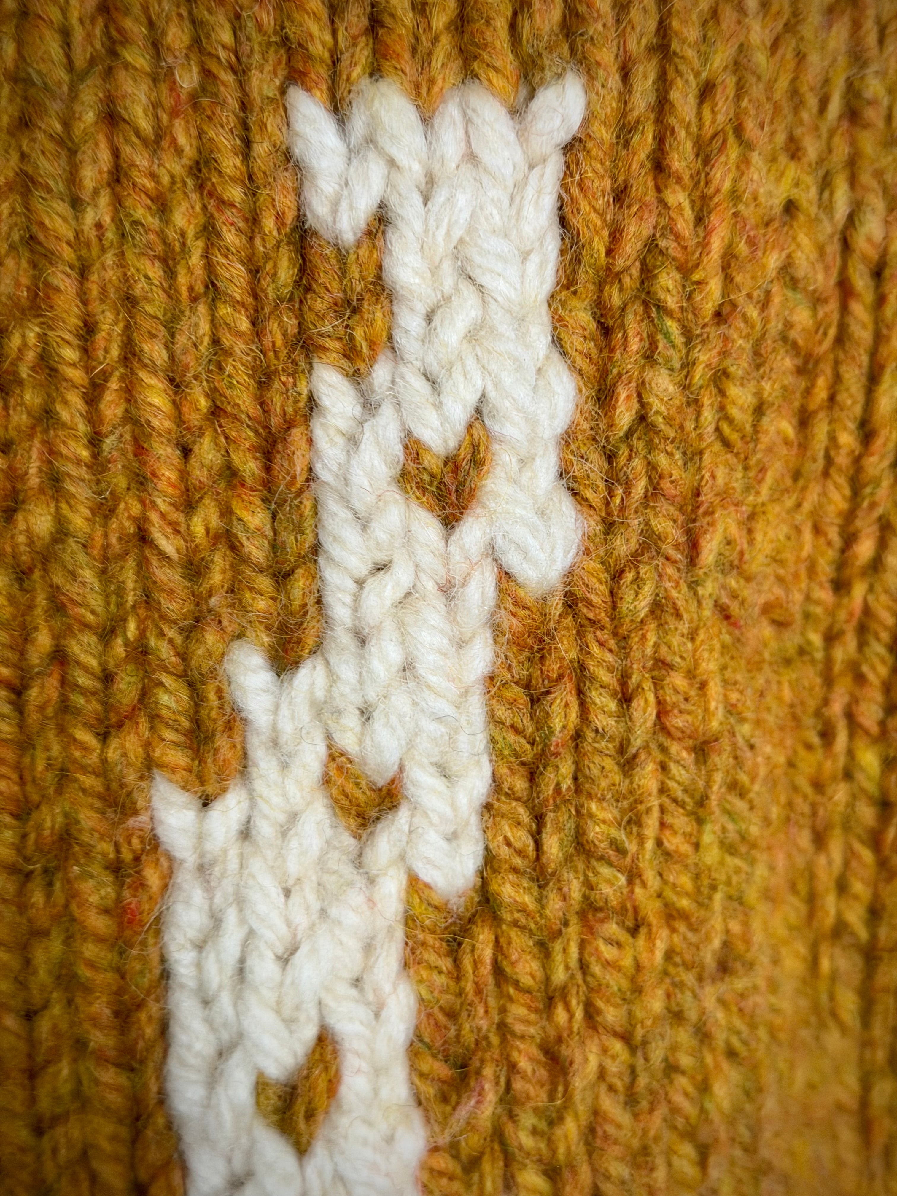 Exceptional Mid-Century Cowichan Cardigan - Horse and Rider Motif, Fully Lined
