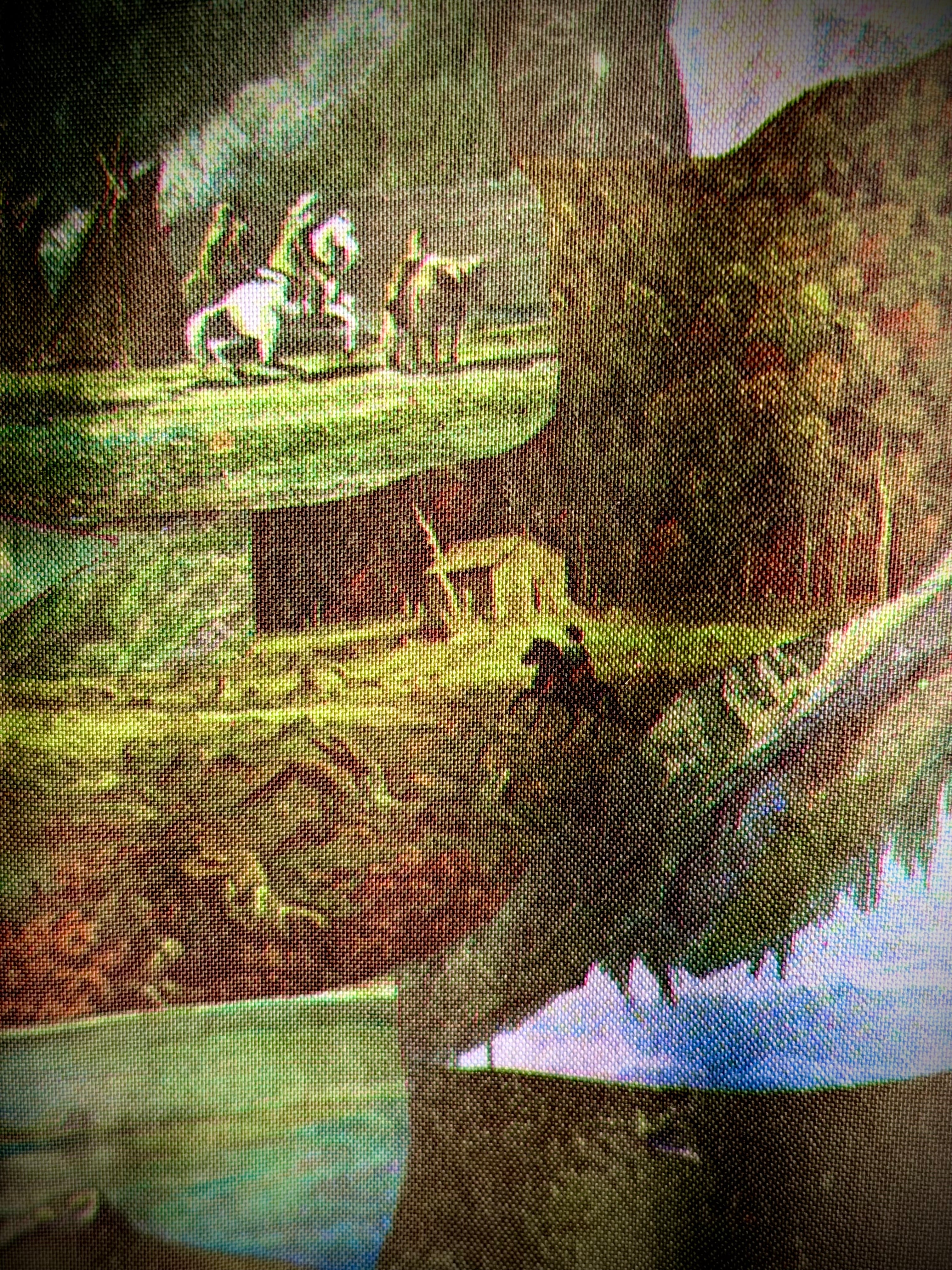 Late 1960s–Early 1970s Forest Scenic Print Shirt | Painterly Landscape Blouse
