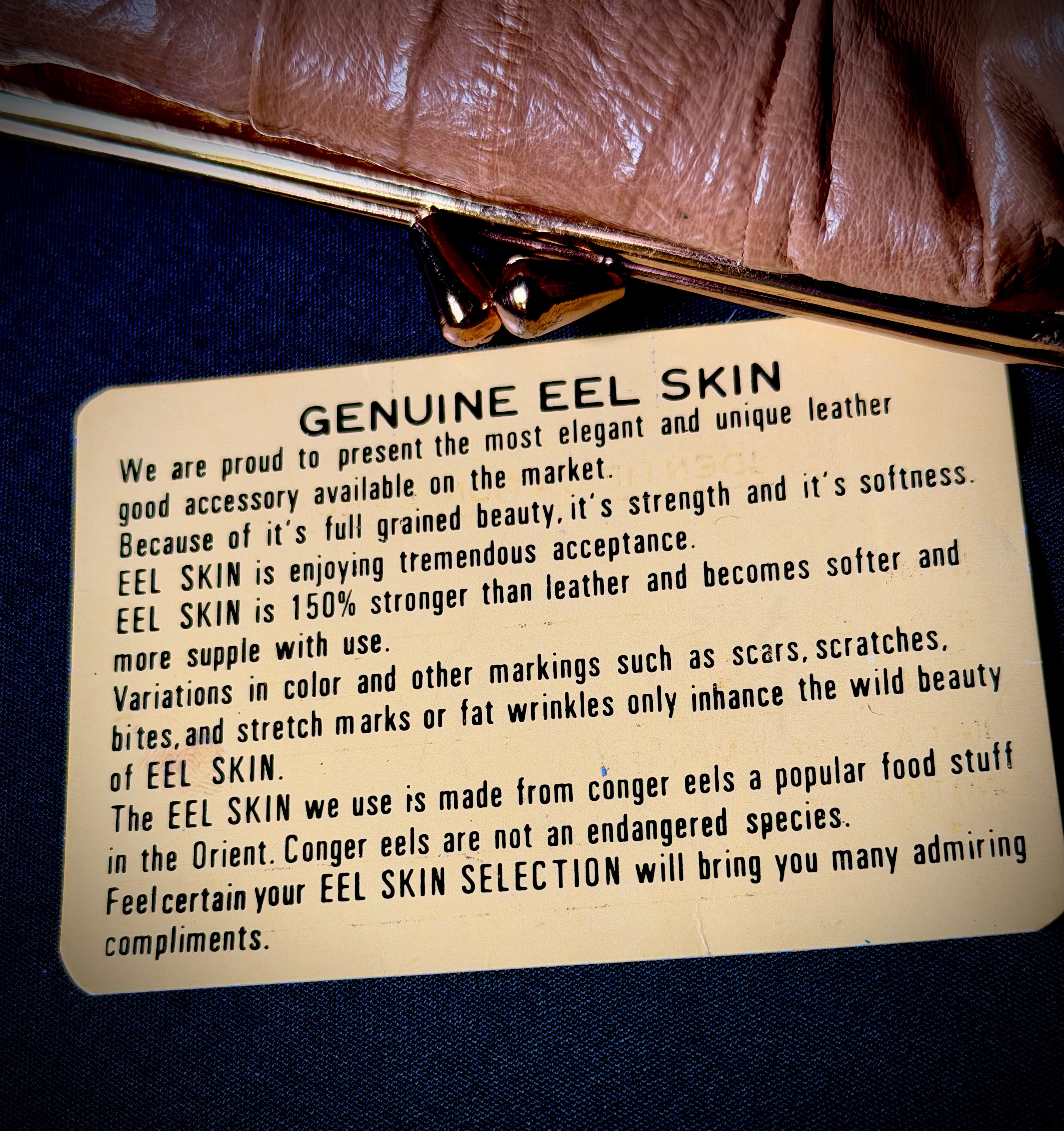 Vintage Eel Skin Clutch with Original Mirror - Immaculate Condition